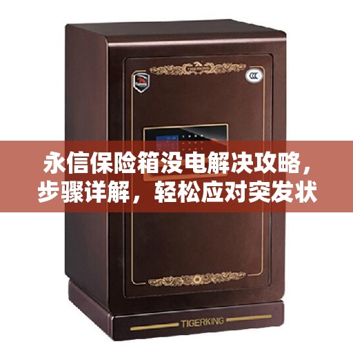 永信保险箱没电解决攻略，步骤详解，轻松应对突发状况！
