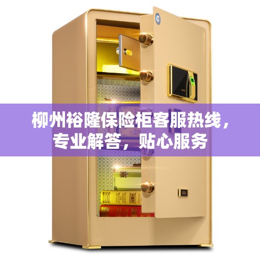 柳州裕隆保险柜客服热线，专业解答，贴心服务