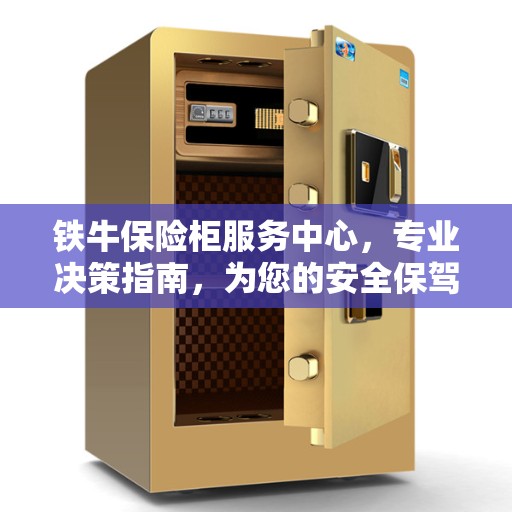 铁牛保险柜服务中心，专业决策指南，为您的安全保驾护航