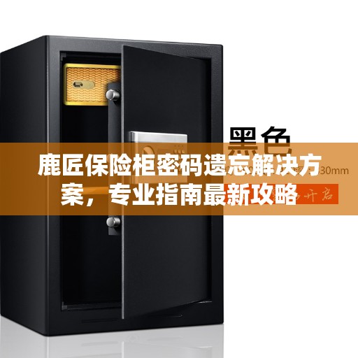 鹿匠保险柜密码遗忘解决方案，专业指南最新攻略