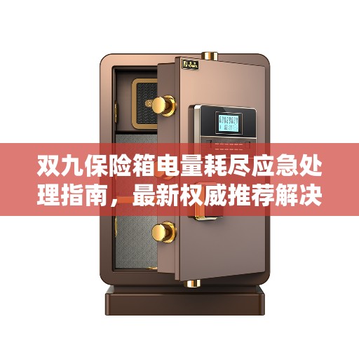 双九保险箱电量耗尽应急处理指南，最新权威推荐解决方案