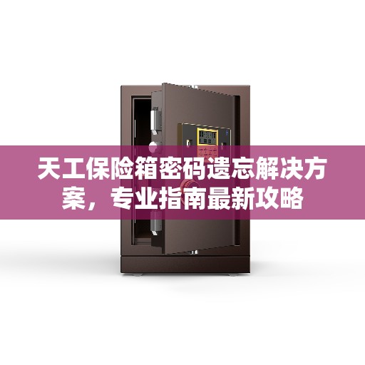 天工保险箱密码遗忘解决方案，专业指南最新攻略