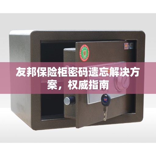友邦保险柜密码遗忘解决方案，权威指南