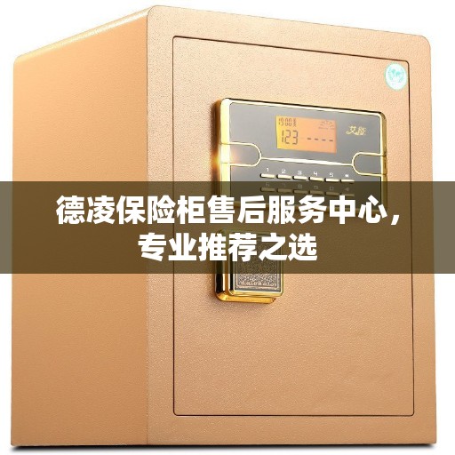 德凌保险柜售后服务中心，专业推荐之选