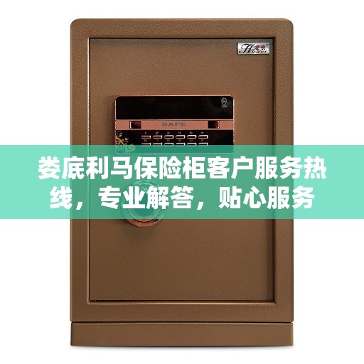 娄底利马保险柜客户服务热线，专业解答，贴心服务