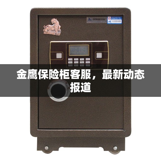 金鹰保险柜客服，最新动态报道