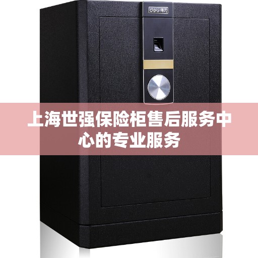 上海世强保险柜售后服务中心的专业服务