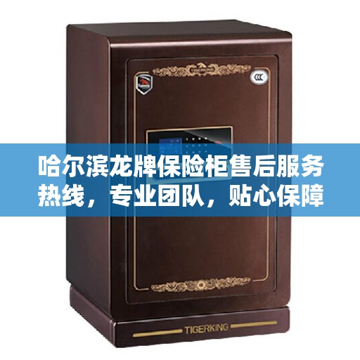 哈尔滨龙牌保险柜售后服务热线，专业团队，贴心保障您的安全之选