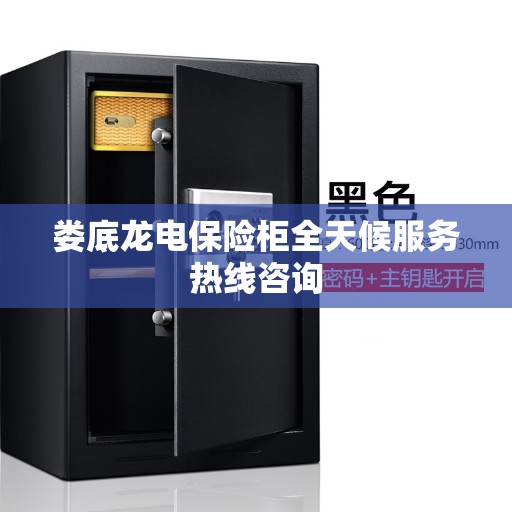 娄底龙电保险柜全天候服务热线咨询
