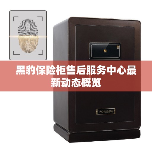 黑豹保险柜售后服务中心最新动态概览