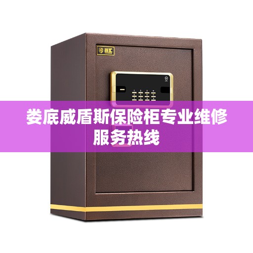 娄底威盾斯保险柜专业维修服务热线