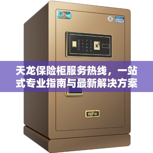 天龙保险柜服务热线，一站式专业指南与最新解决方案