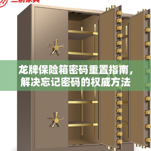 龙牌保险箱密码重置指南，解决忘记密码的权威方法