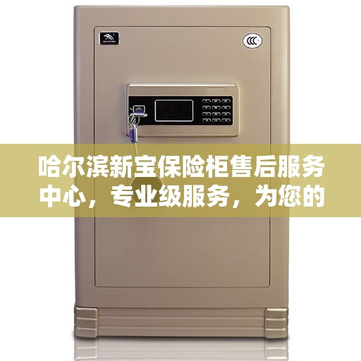 哈尔滨新宝保险柜售后服务中心，专业级服务，为您的安全保驾护航