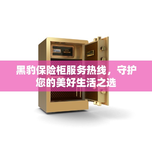 黑豹保险柜服务热线，守护您的美好生活之选