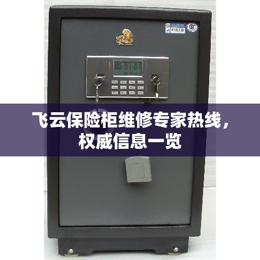 飞云保险柜维修专家热线，权威信息一览