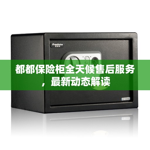 都都保险柜全天候售后服务，最新动态解读