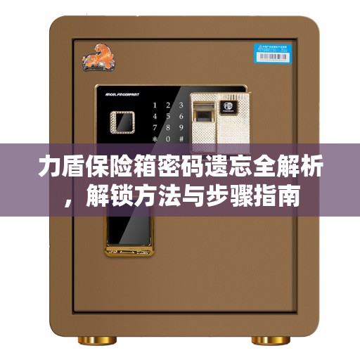 力盾保险箱密码遗忘全解析，解锁方法与步骤指南