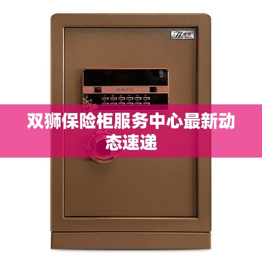 双狮保险柜服务中心最新动态速递