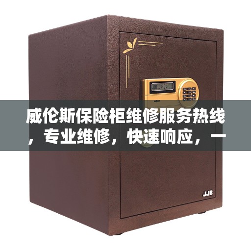 威伦斯保险柜维修服务热线，专业维修，快速响应，一站式解决方案决策指南