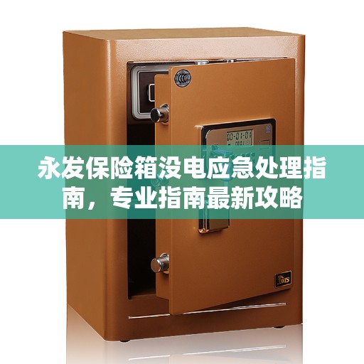 永发保险箱没电应急处理指南，专业指南最新攻略