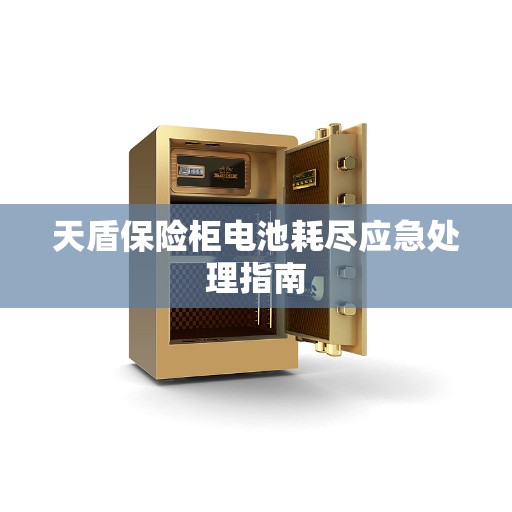 天盾保险柜电池耗尽应急处理指南