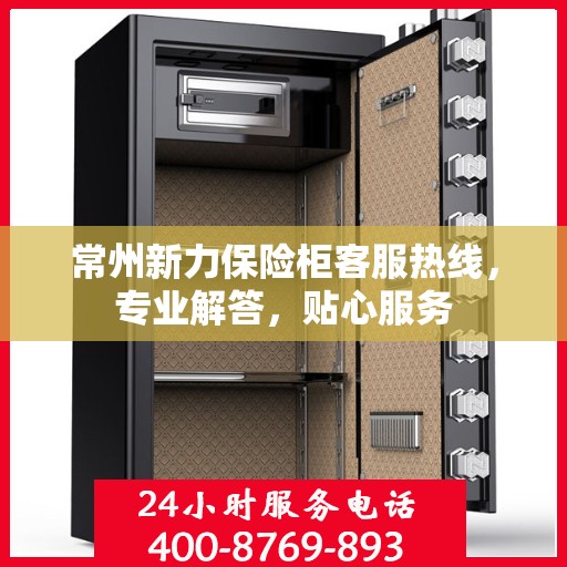 常州新力保险柜客服热线，专业解答，贴心服务