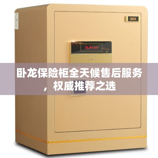 卧龙保险柜全天候售后服务，权威推荐之选