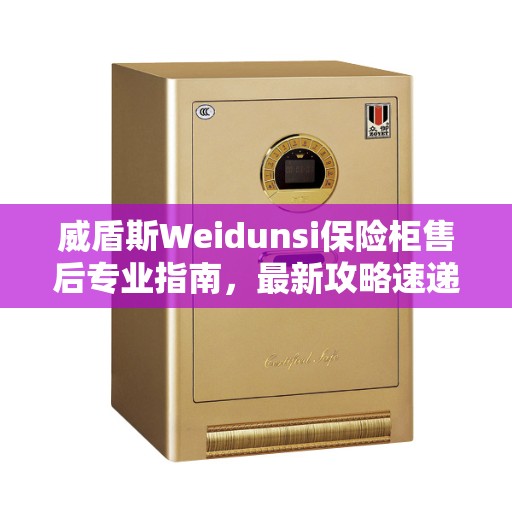 威盾斯Weidunsi保险柜售后专业指南，最新攻略速递