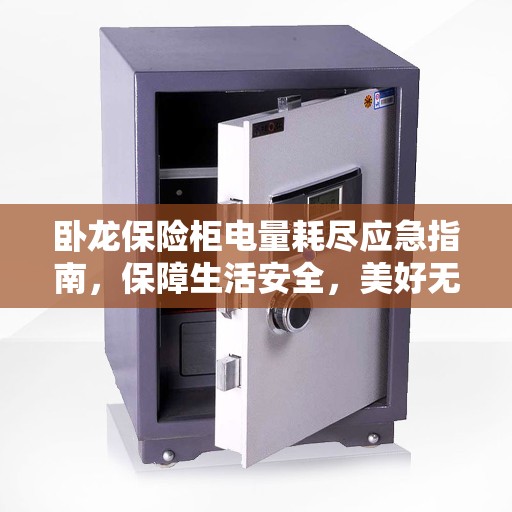 卧龙保险柜电量耗尽应急指南，保障生活安全，美好无忧