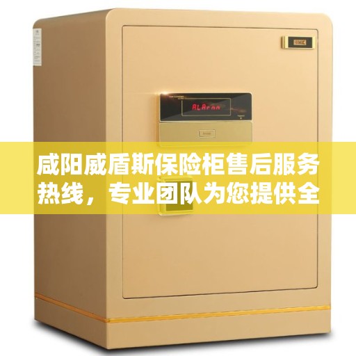咸阳威盾斯保险柜售后服务热线，专业团队为您提供全方位服务保障！