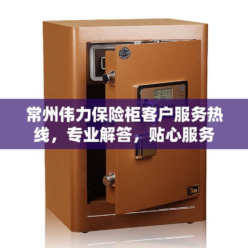 常州伟力保险柜客户服务热线，专业解答，贴心服务