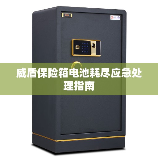 威盾保险箱电池耗尽应急处理指南