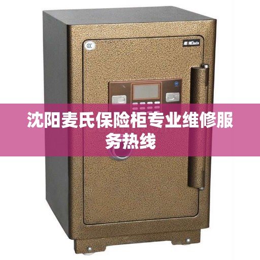 沈阳麦氏保险柜专业维修服务热线