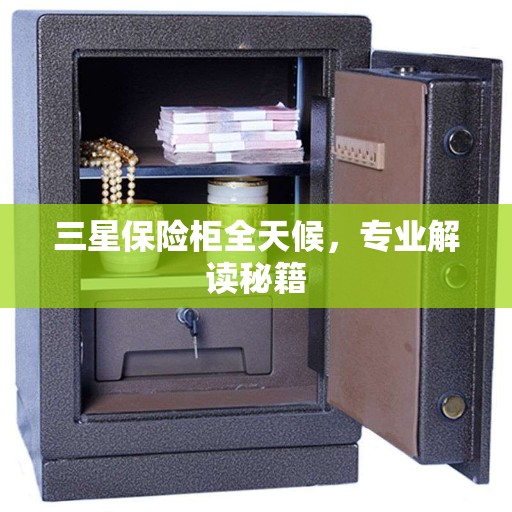 三星保险柜全天候，专业解读秘籍