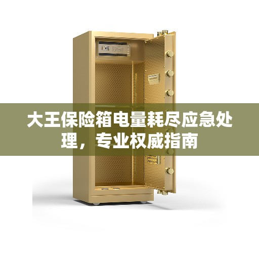 大王保险箱电量耗尽应急处理，专业权威指南