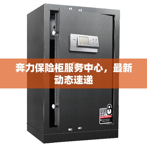 奔力保险柜服务中心，最新动态速递