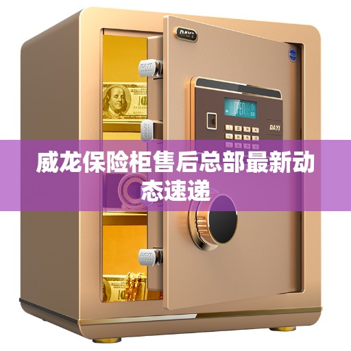 威龙保险柜售后总部最新动态速递
