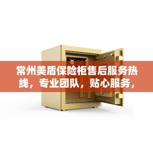 常州美盾保险柜售后服务热线，专业团队，贴心服务，全天候保障您的安全需求