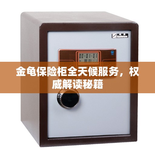 金龟保险柜全天候服务，权威解读秘籍