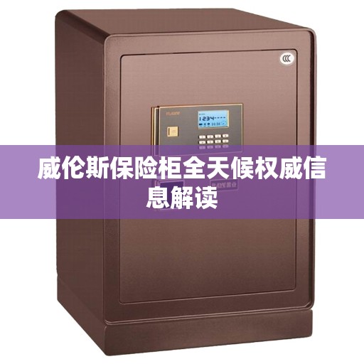 威伦斯保险柜全天候权威信息解读