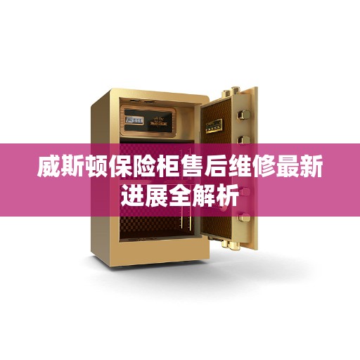 威斯顿保险柜售后维修最新进展全解析