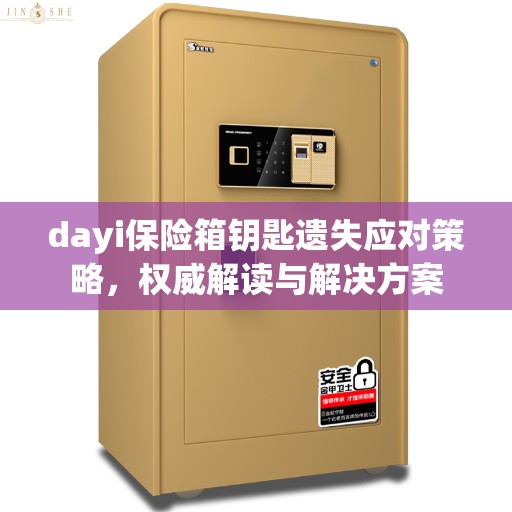 dayi保险箱钥匙遗失应对策略，权威解读与解决方案