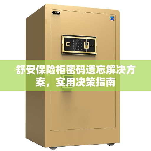 舒安保险柜密码遗忘解决方案，实用决策指南