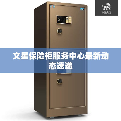 文星保险柜服务中心最新动态速递