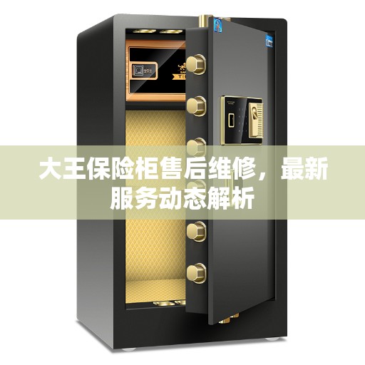 大王保险柜售后维修，最新服务动态解析