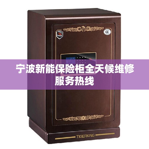 宁波新能保险柜全天候维修服务热线
