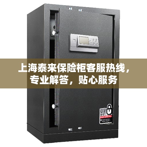 上海泰来保险柜客服热线，专业解答，贴心服务