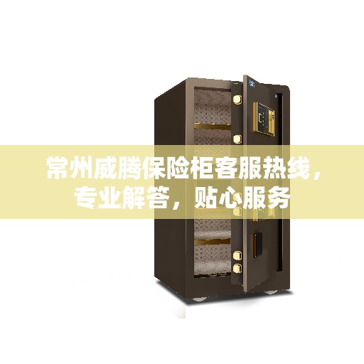 常州威腾保险柜客服热线，专业解答，贴心服务