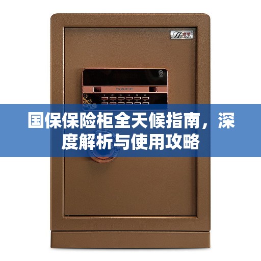 国保保险柜全天候指南，深度解析与使用攻略